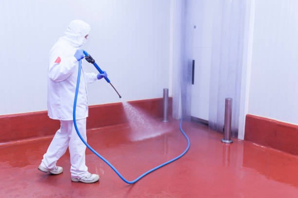 Best Playground Equipment Cleaning  in Tigard, OR